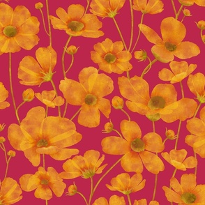 Cosmos Flowers _ Magenta