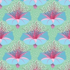 Funky Pop Art Flowers - baby's blue and pink