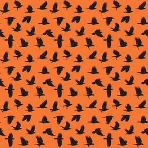 As the Crow Flies-orange