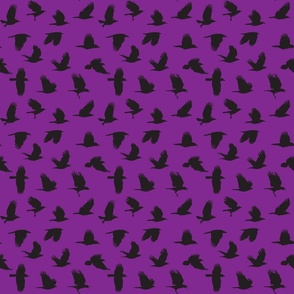 As the Crow Flies-purple