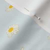 Daisies in the wind-cloudy blue