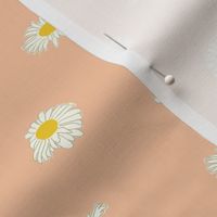 Daisies in the wind-peach