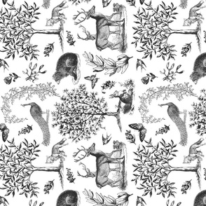 Woodland Toile in Grey on White Rotated - large scale