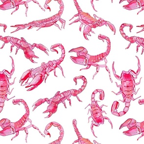 Pink Scorpions