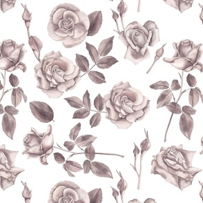 Greyscale Roses