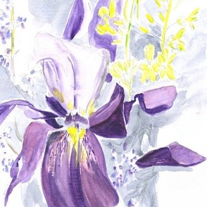 Iris and Mustard  Flowers