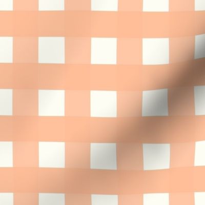 1 inch Large Pantone Color of the Year 2024 Peach Fuzz gingham check - Soft peach cottagecore country plaid - perfect for wallpaper bedding tablecloth - vichy check