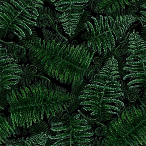 Velvet fern