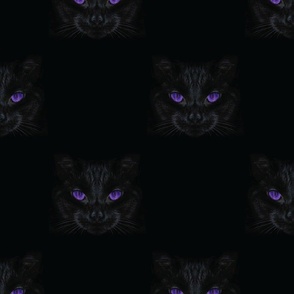 black witch cat with purple eyes on black 12"