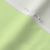 Solid Fabric _Neon Lime 