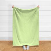Solid Fabric _Neon Lime 