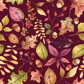 (medium) Colorful watercolor autumn leaves on burgundy