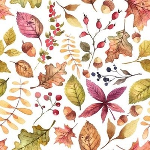 (medium) Colorful watercolor autumn leaves on white (8")