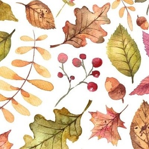 (large) Colorful watercolor autumn leaves on white