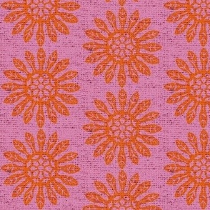 orange on pink daisy