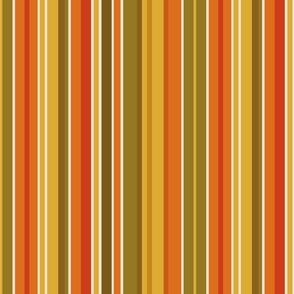 1970's Stripes