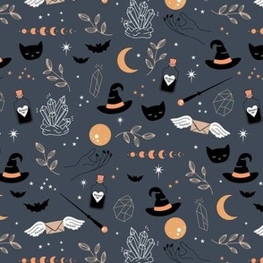 Halloween witchcraft wizard - bats black cats and magic poison and crystals on slate blue night