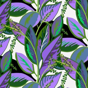 medium-Tropical Ti Leaf Bloom-new colors violet 22
