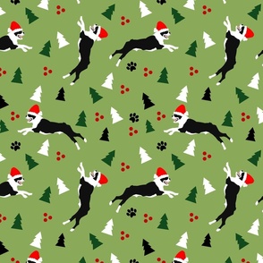 Boston Terrier Christmas Green