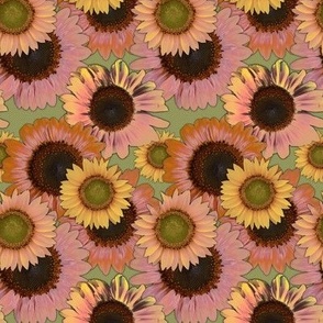 70s Vibes Colorized Sunflowers