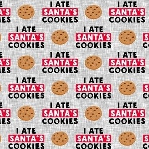 (small scale) I ate Santa's cookies - chocolate chip cookie - grey - LAD22