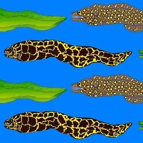 3 Moray Eels on deep sea blue 7in