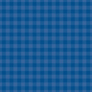 Blue Checks Coordinate | Linen Texture | Medium Scale ©designsbyroochita