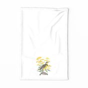 Nebraska State Bird and Flower Tea Towel