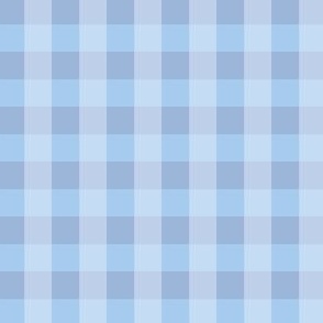 baby blue1 inch gingham check