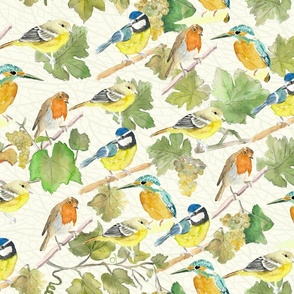 315. Watercolour birds on grape vine - Large