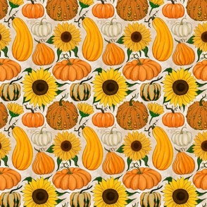 Pumpkin Harvest medium on grey 