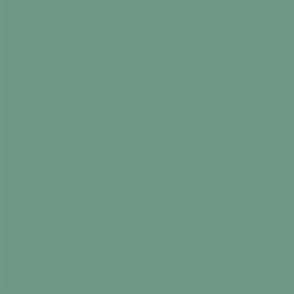 Light green solid-nanditasingh