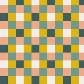 Multicolour checks-nanditasingh