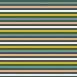 Multicolour stripes dark-nanditasingh