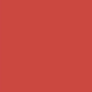 Terracotta red solid-nanditasingh