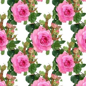Pink Roses on White small