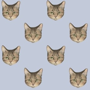 Tabby Cat Faces on smoke - medium scale