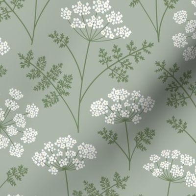 Queen Anne's Lace on light green
