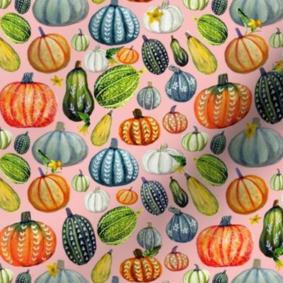   Harvest pumpkins and gourds on pink , perfect for Autumn and Fall or Halloween sewing and decor