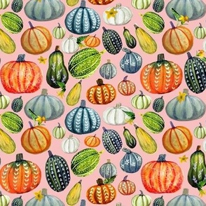   Harvest pumpkins and gourds on pink , perfect for Autumn and Fall or Halloween sewing and decor