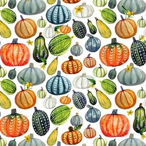  Harvest pumpkins and gourds on white , perfect for Autumn and Fall or Halloween sewing and decor