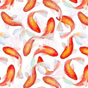 Swirling goldfish