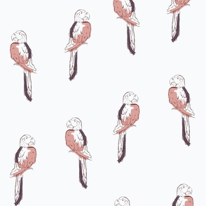 Tropical Birds in Red and White