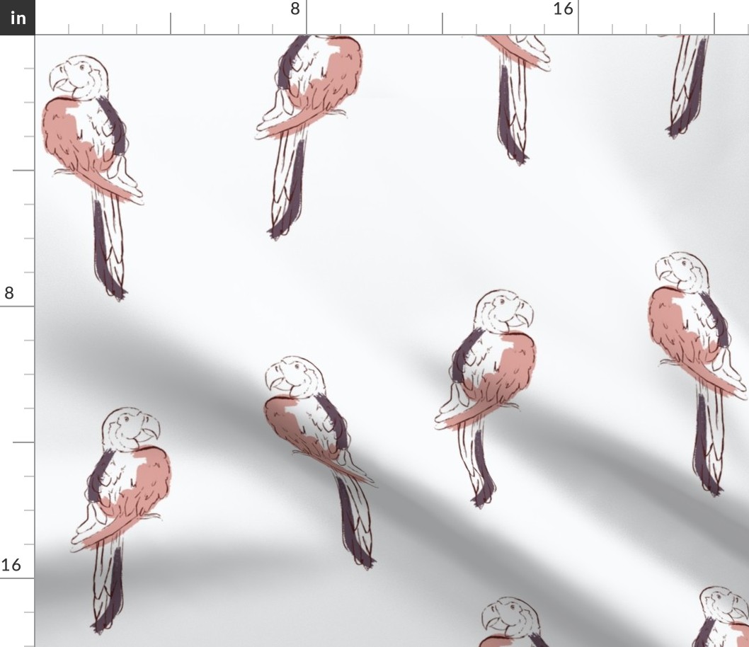 Tropical Birds in Red and White