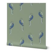 Tropical Birds in Sage and Green