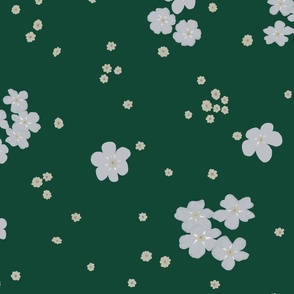 Cream Forget-me-not Flower on Green  | Large Scale