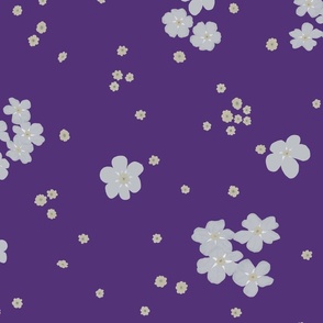 Little Forget-me-not Flower on Royal Purple | Large Scale
