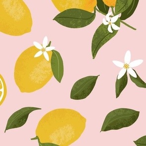 (large) Yellow lemons with leaves and lemon blossoms on pink, large scale