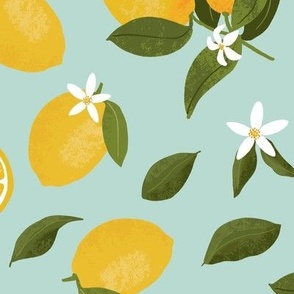 (large) Yellow lemons with leaves and lemon blossoms on aqua blue, large scale