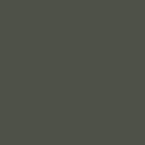 Dark Evergreen Grey Solid 4e5148